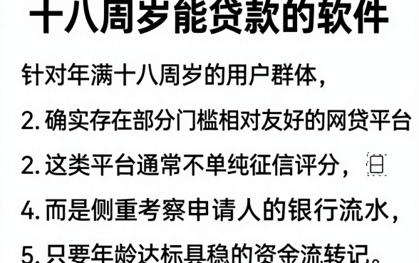十八周岁能贷款的软件,梳理五个看银行流水的网贷平台