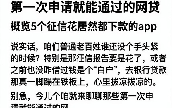第一次申请就能通过的网贷,概览5个征信花居然都下款的app