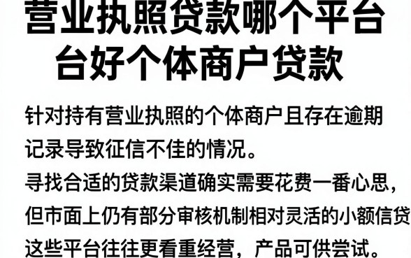 营业执照贷款哪个平台好个体商户贷款,整理5个逾期太多能下款软件