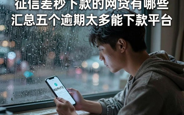 征信差秒下款的网贷有哪些,汇总五个逾期太多能下款平台