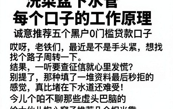 洗菜盆下水管每个口子的工作原理,诚意推荐五个黑户0门槛贷款口子