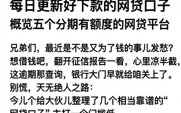 每日更新好下款的网贷口子,概览五个分期有额度的网贷平台