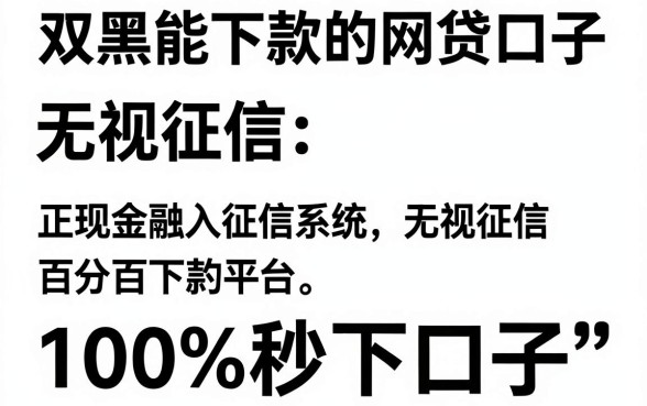 双黑能下款的网贷口子，梳理五个无视征信黑白100%秒下口子