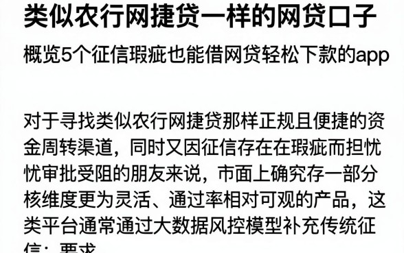 类似农行网捷贷一样的网贷口子,概览5个征信瑕疵也能借网贷轻松下款的app