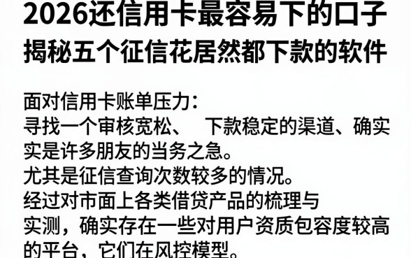 2026还信用卡最容易下的口子,揭秘五个征信花居然都下款的软件