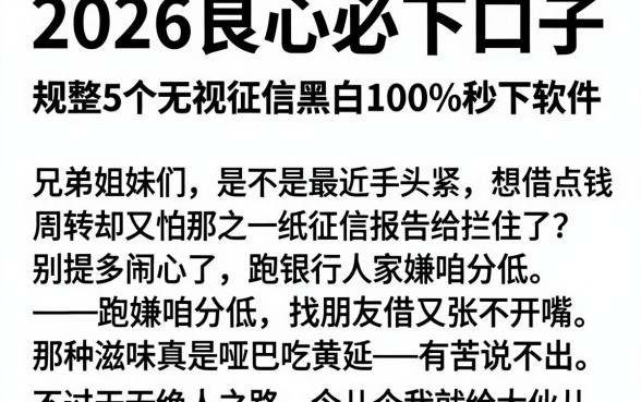 2026良心必下口子,规整5个无视征信黑白100%秒下软件