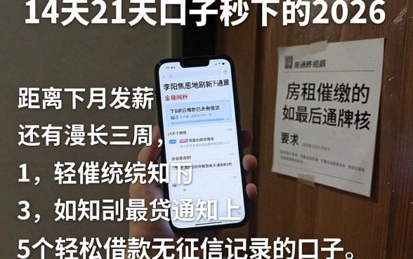 14天21天口子秒下的2026,筛选5个轻松借款无征信记录的口子
