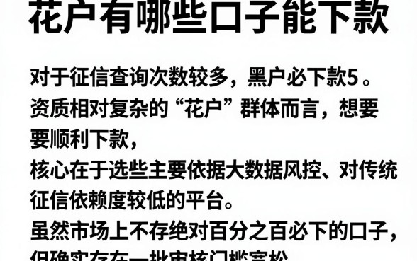 花户有哪些口子能下款,细致阐述5个黑户必下款的口子