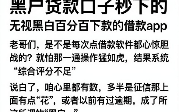 黑户贷款口子秒下的,概览五个无视黑白百分百下款的借款app
