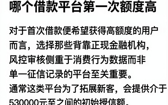 哪个借款平台第一次额度高,详细阐述五个秒批通过的网贷软件