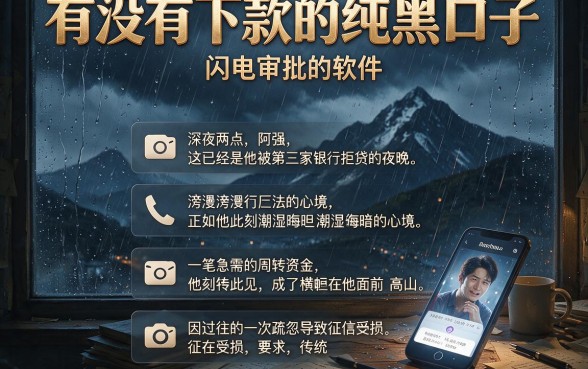 有没有下款的纯黑口子,细致阐述五个闪电审批的软件