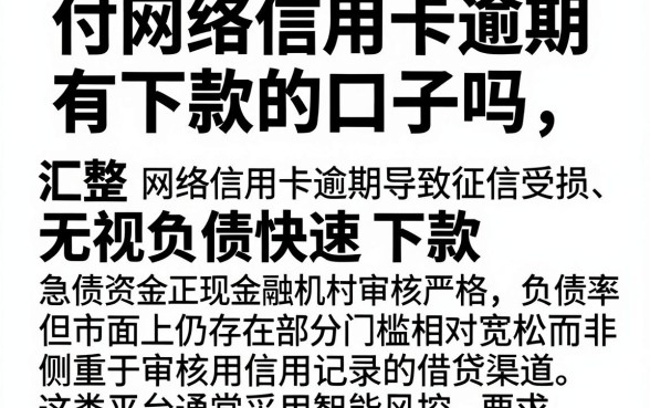 付网络信用卡逾期有下款的口子吗,汇整五个无视负债快速下款长期网贷的平台