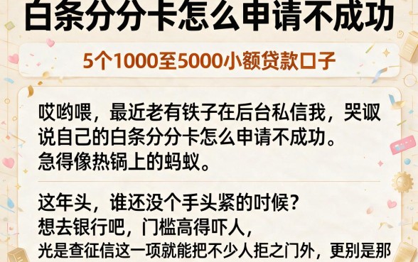 白条分分卡怎么申请不成功,细致阐述5个1000至5000的小额贷款口子