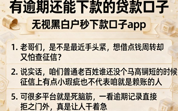有逾期还能下款的贷款口子,条列5个无视黑白户秒下款口子app