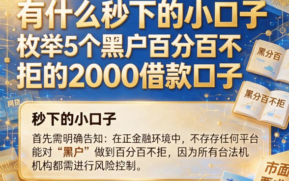 有什么秒下的小口子，枚举5个黑户百分百不拒的2000借款口子