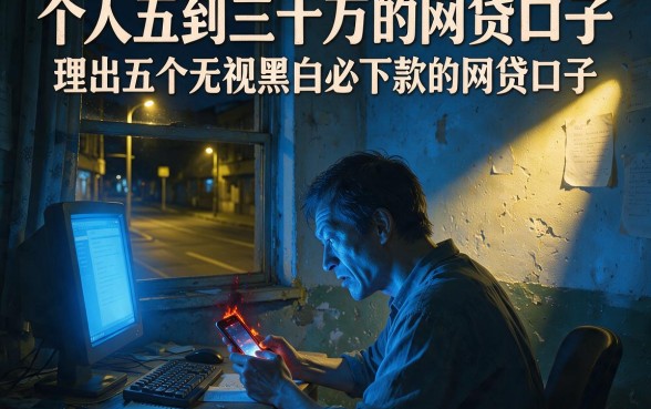 个人五到三十万的网贷口子,理出五个无视黑白必下款的网贷口子