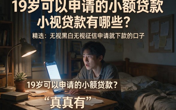 19岁可以申请的小额贷款，精选五个无视黑白无视征信申请就下款的口子