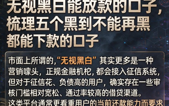 无视黑白能放款的口子,梳理五个黑到不能再黑都能下款的口子