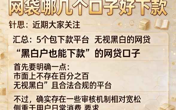 网袋哪几个口子好下款,汇总5个包下款平台无视黑白的网贷