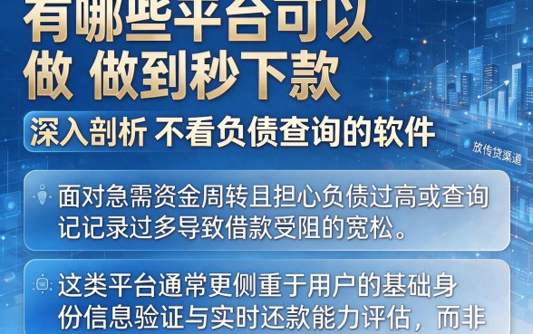 有哪些平台可以做到秒下款,深入剖析五个不看负债查询的软件
