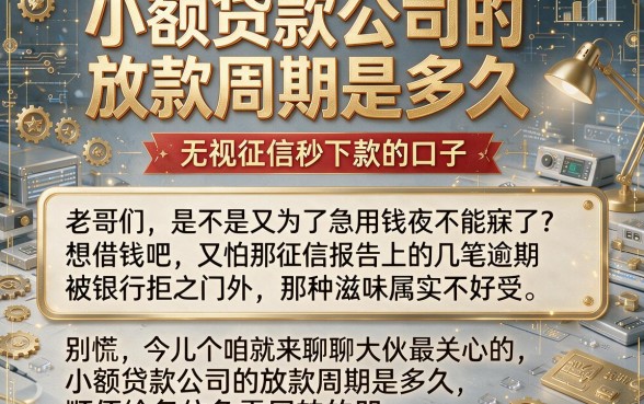 小额贷款公司的放款周期是多久,陈列五个无视征信秒下款的口子