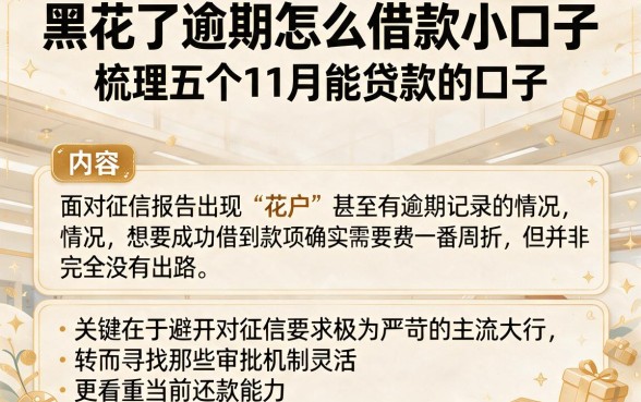 黑花了逾期怎么借款小口子,梳理五个11月能贷款的口子