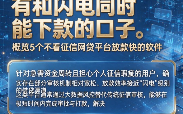有和闪电同时能下款的口子,概览5个不看征信网贷平台放款快的软件