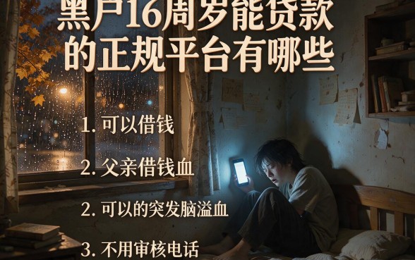 黑户16周岁能贷款的正规平台有哪些,理出五个可以借钱不用审核的平台