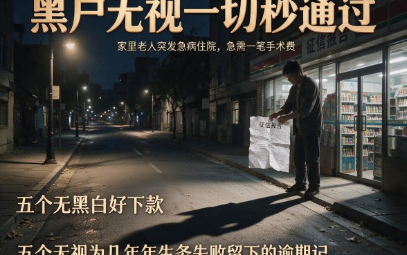 黑户无视一切秒通过，详细阐述五个无视黑白好下款的软件