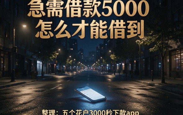 急需借款5000怎么才能借到,整理五个花户3000秒下款app