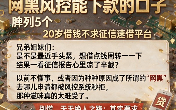 网黑风控能下款的口子,胪列5个20岁借钱不求征信速借平台