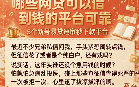 哪些网贷可以借到钱的平台可靠,概括5个新号易贷速审秒下款平台