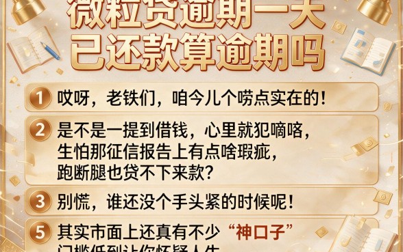 微粒贷逾期一天已还款算逾期吗,条列5个贷款10万比较容易的软件