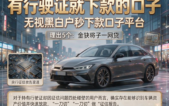 有行驶证就下款的口子,理出5个无视黑白户秒下款口子平台