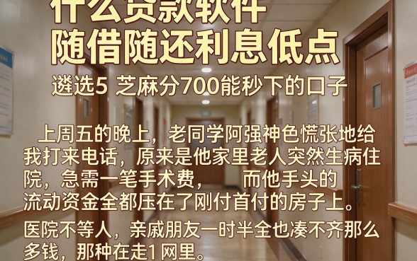 什么贷款软件随借随还利息低点，遴选5个芝麻分700能秒下的口子