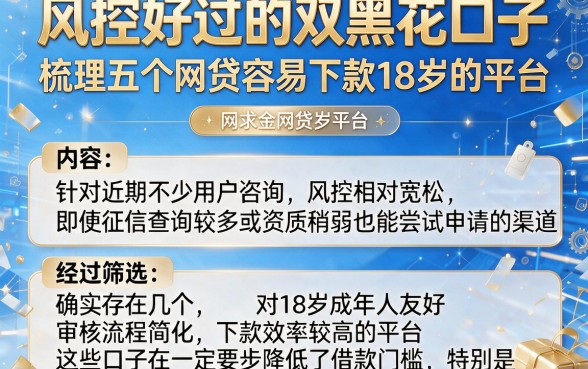 风控好过的双黑花口子,梳理五个网贷容易下款18岁的平台