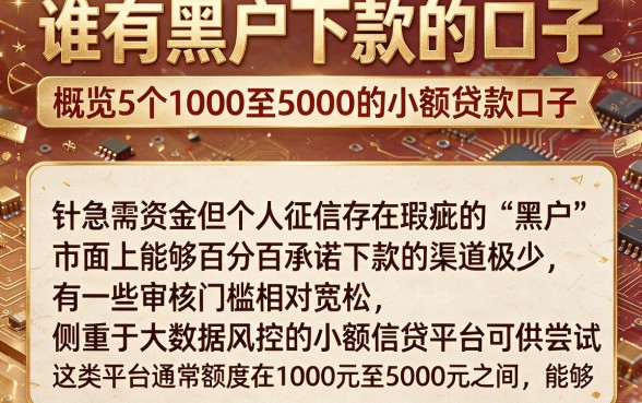 谁有黑户下款的口子,概览5个1000至5000的小额贷款口子