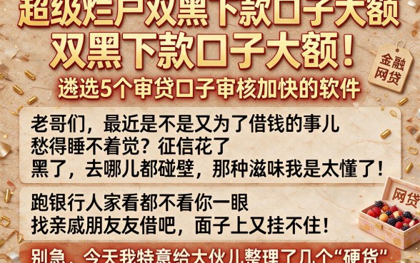 超级烂户双黑下款口子大额,遴选5个审贷口子审核加快的软件
