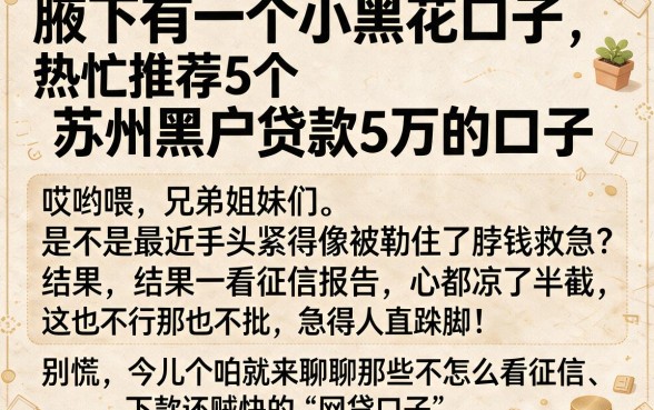 腋下有一个小黑花口子,热忱推荐5个苏州黑户贷款5万的口子