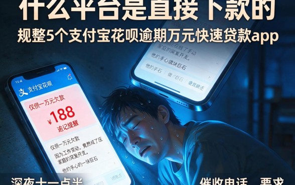 什么平台是直接下款的,规整5个支付宝花呗逾期万元快速贷款app