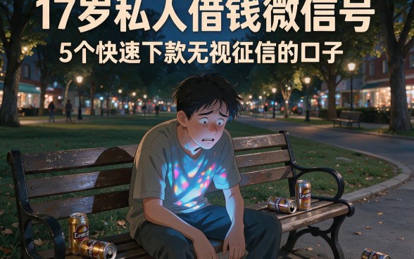 17岁私人借钱微信号,归纳5个快速下款无视征信的口子
