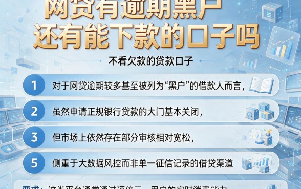 网贷有逾期黑户还有能下款的口子吗，条列5个不看欠款的贷款口子