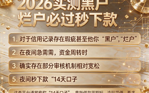 2026实测黑户烂户必过秒下款,条列5个夜间秒下款的14天口子