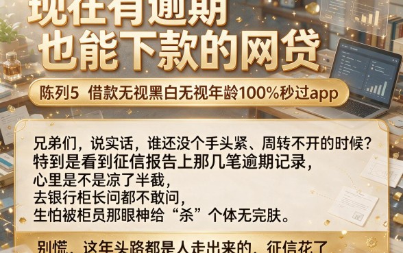 现在有逾期也能下款的网贷，陈列5个借款无视黑白无视年龄100%秒过app