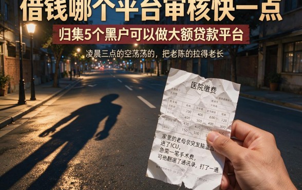 借钱哪个平台审核快一点，归集5个黑户可以做大额贷款平台