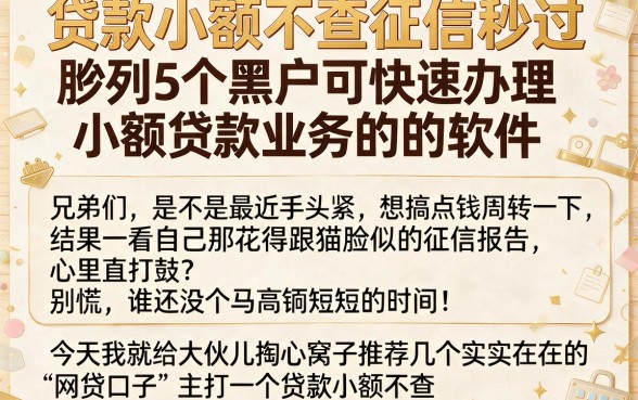 贷款小额不查征信秒过,胪列5个黑户可快速办理小额贷款业务的软件