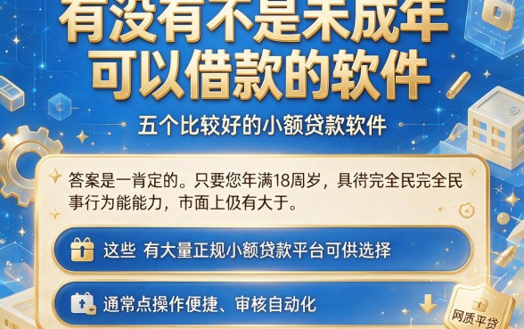 有没有不是未成年可以借款的软件,深入剖析五个比较好的小额贷款软件