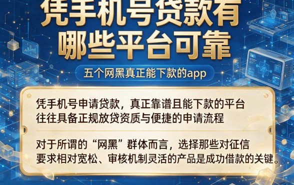 凭手机号贷款有哪些平台可靠，概览五个网黑真正能下款的app
