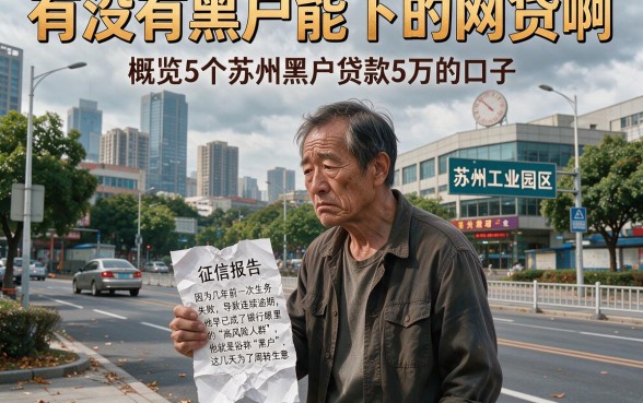 有没有黑户能下的网贷啊,概览5个苏州黑户贷款5万的口子