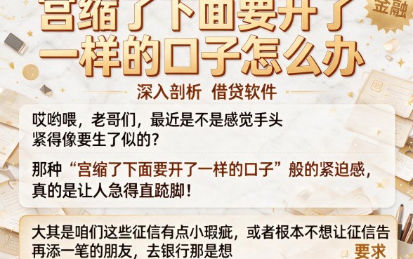 宫缩了下面要开了一样的口子怎么办，深入剖析五个值得信赖的借贷软件